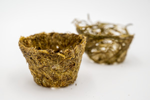 Bild: Starch-Based Bioplastic
